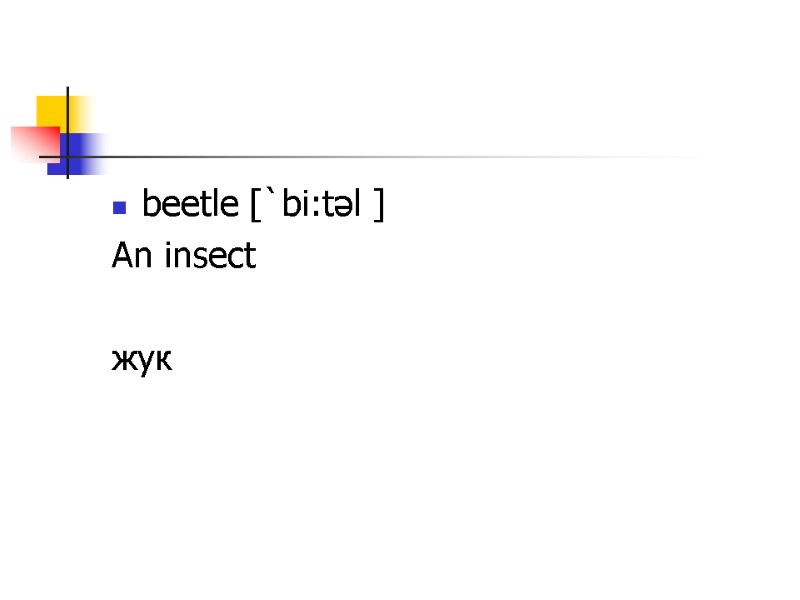 beetle [`bi:təl ] An insect   жук